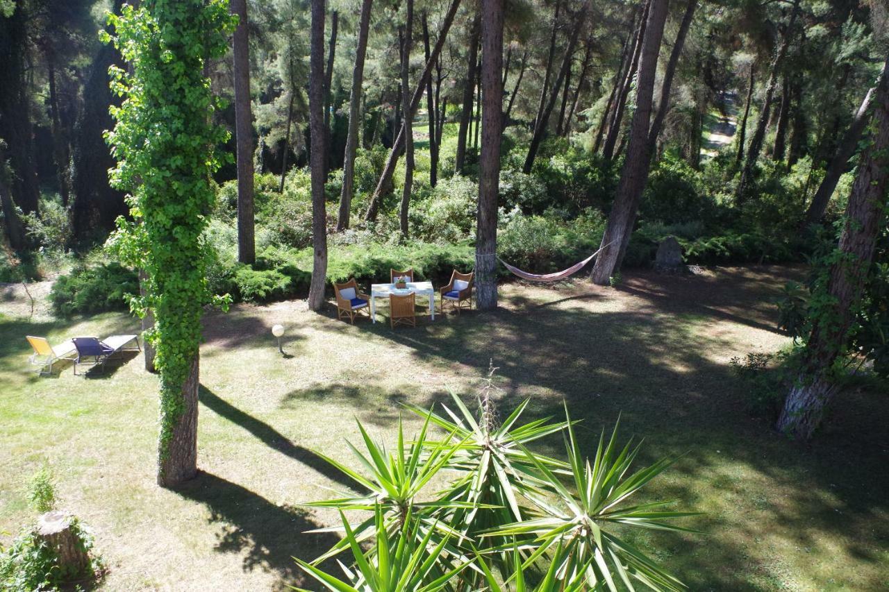 Beautiful Summerhouse In Sani'S Pine Forest Sani  Exterior photo